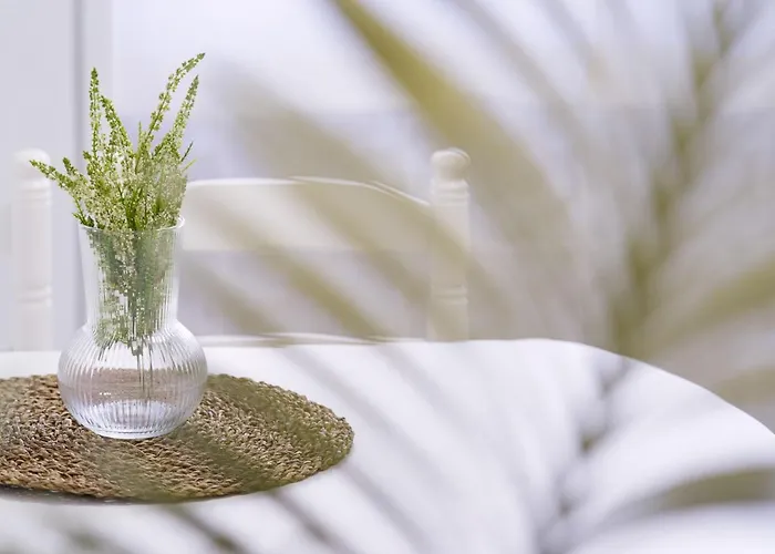 Luisa Apartment Arzúa